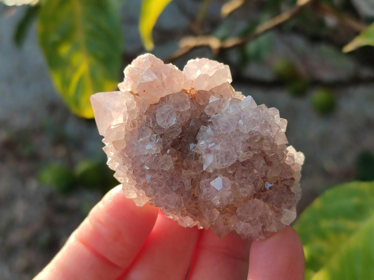Natural Spirit Amethyst Crystals x 35 From Boekenhouthoek, South Africa - Toprock Gemstones and Minerals 