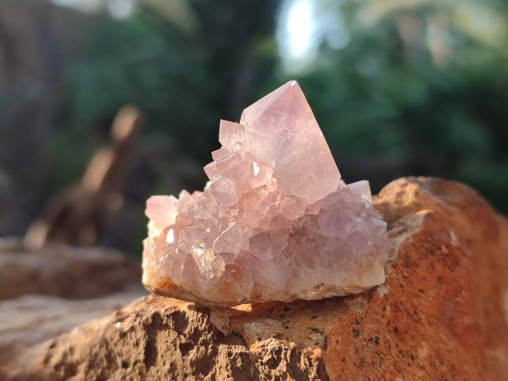 Natural Spirit Amethyst Crystals x 35 From Boekenhouthoek, South Africa - Toprock Gemstones and Minerals 