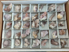 Natural Spirit Amethyst Crystals x 35 From Boekenhouthoek, South Africa - Toprock Gemstones and Minerals 