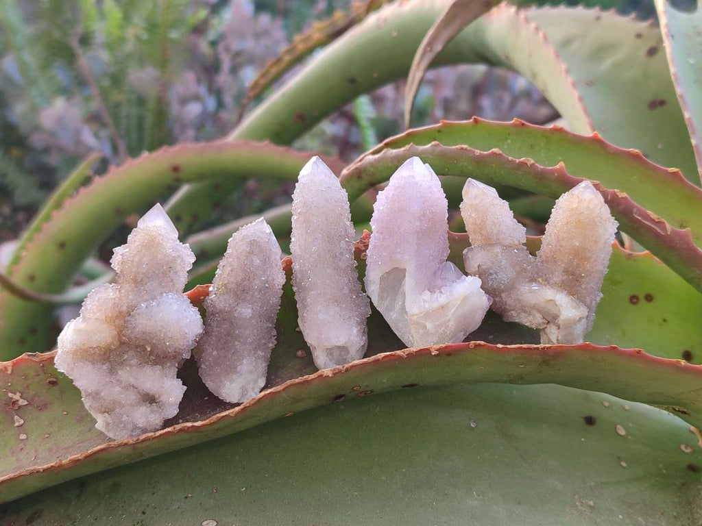 Natural Spirit Amethyst Crystals x 35 From Boekenhouthoek, South Africa - Toprock Gemstones and Minerals 