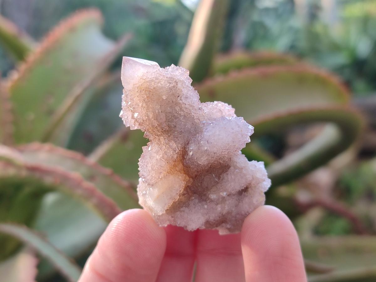 Natural Spirit Amethyst Crystals x 35 From Boekenhouthoek, South Africa - Toprock Gemstones and Minerals 