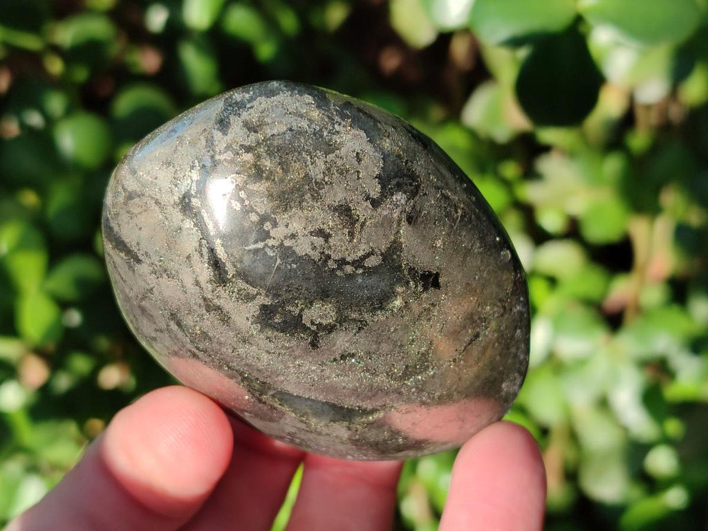 Polished Basalt Pharaoh Stone Galets x 12 From Iron Duke Mine, Zimbabwe - Toprock Gemstones and Minerals 