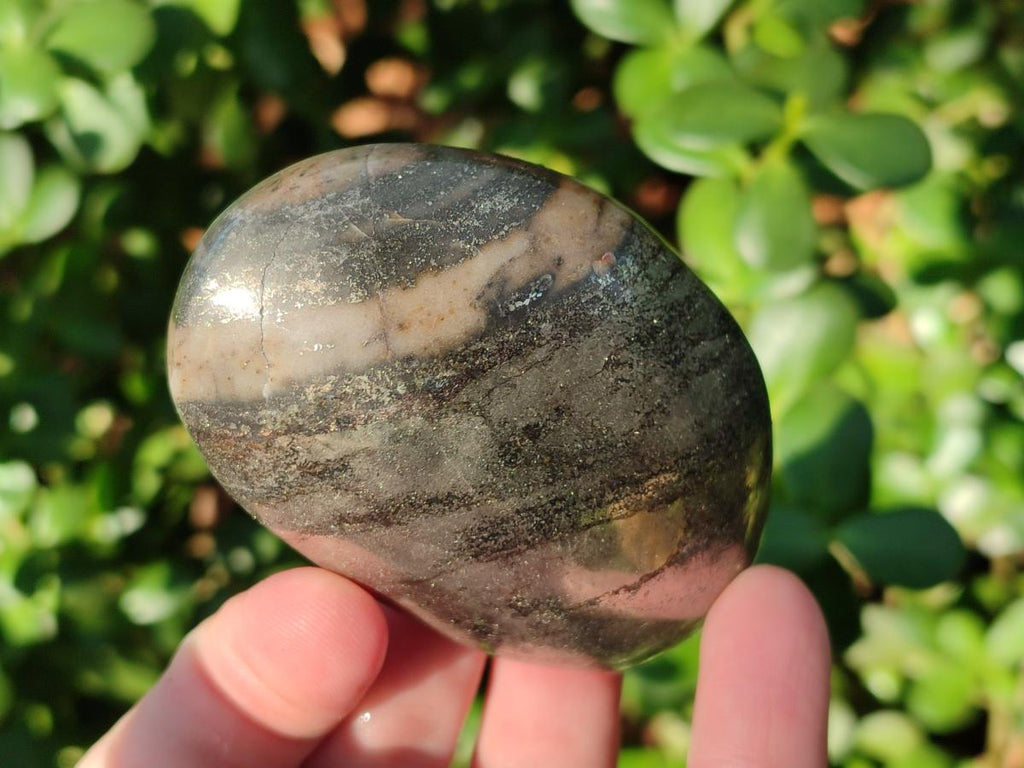 Polished Basalt Pharaoh Stone Galets x 12 From Iron Duke Mine, Zimbabwe - Toprock Gemstones and Minerals 