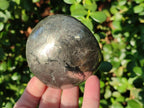 Polished Basalt Pharaoh Stone Galets x 12 From Iron Duke Mine, Zimbabwe - Toprock Gemstones and Minerals 
