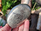 Polished Basalt Pharaoh Stone Galets x 12 From Iron Duke Mine, Zimbabwe - Toprock Gemstones and Minerals 