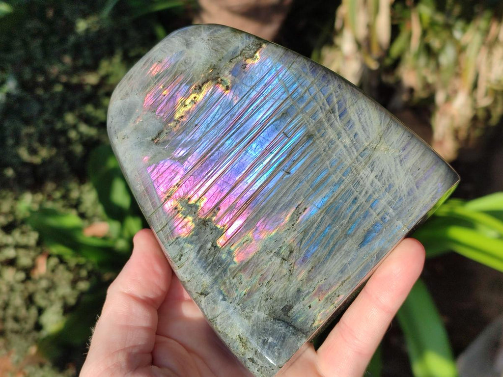 Polished Rare Purple Sunset Flash Labradorite Standing Display Pieces x 2 From Madagascar - Toprock Gemstones and Minerals 