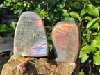 Polished Rare Purple Sunset Flash Labradorite Standing Display Pieces x 2 From Madagascar - Toprock Gemstones and Minerals 