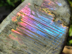 Polished Rare Purple Sunset Flash Labradorite Standing Display Pieces x 2 From Madagascar - Toprock Gemstones and Minerals 