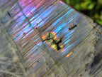 Polished Rare Purple Sunset Flash Labradorite Standing Display Pieces x 2 From Madagascar - Toprock Gemstones and Minerals 
