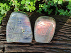 Polished Rare Purple Sunset Flash Labradorite Standing Display Pieces x 2 From Madagascar - Toprock Gemstones and Minerals 