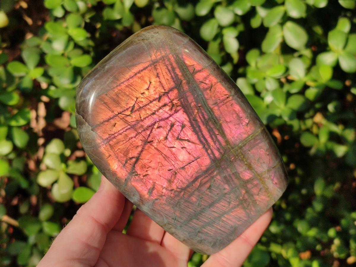 Polished Rare Purple Sunset Flash Labradorite Standing Display Pieces x 2 From Madagascar - Toprock Gemstones and Minerals 