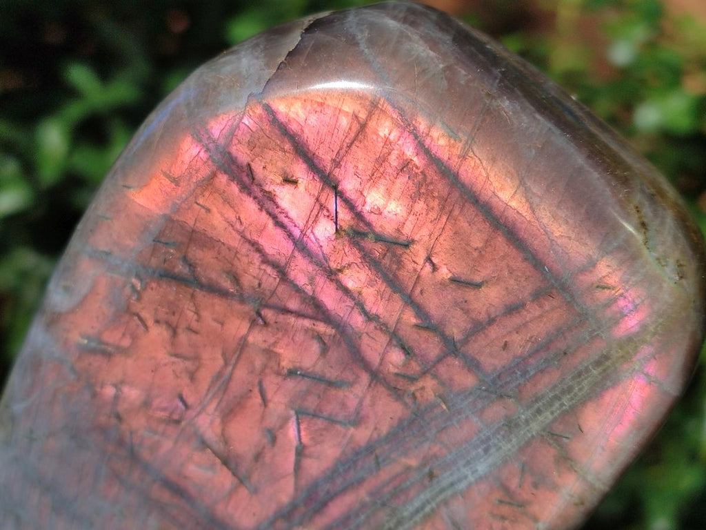 Polished Rare Purple Sunset Flash Labradorite Standing Display Pieces x 2 From Madagascar - Toprock Gemstones and Minerals 