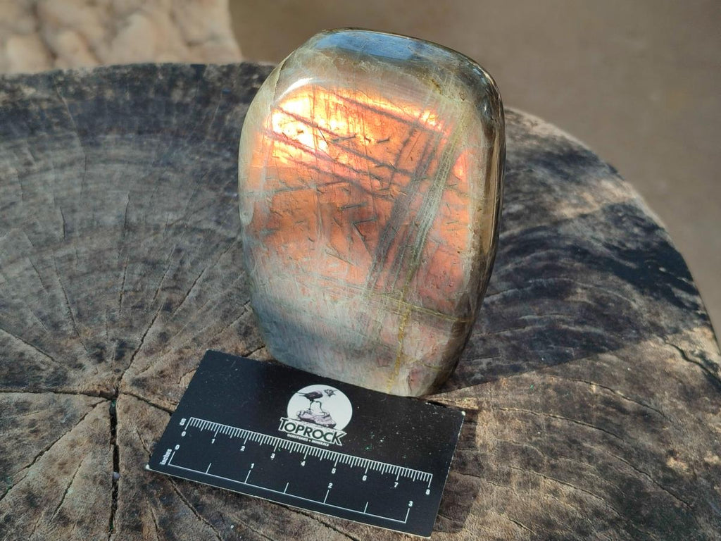 Polished Rare Purple Sunset Flash Labradorite Standing Display Pieces x 2 From Madagascar - Toprock Gemstones and Minerals 