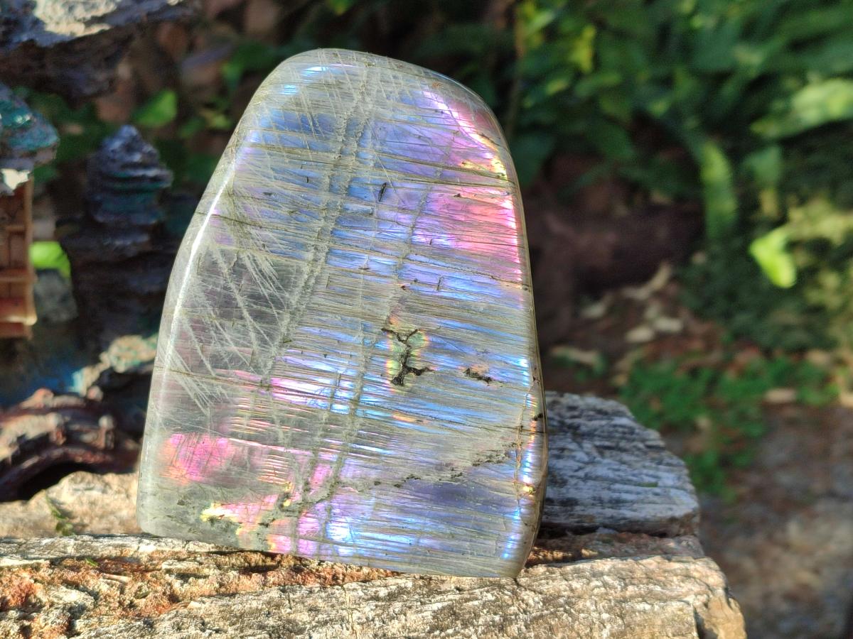 Polished Rare Purple Sunset Flash Labradorite Standing Display Pieces x 2 From Madagascar - Toprock Gemstones and Minerals 