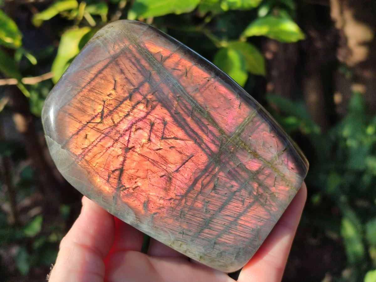Polished Rare Purple Sunset Flash Labradorite Standing Display Pieces x 2 From Madagascar - Toprock Gemstones and Minerals 