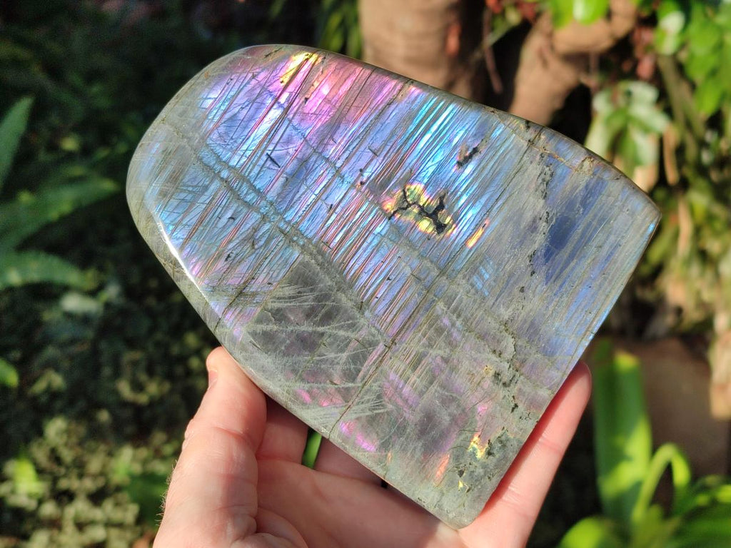 Polished Rare Purple Sunset Flash Labradorite Standing Display Pieces x 2 From Madagascar - Toprock Gemstones and Minerals 