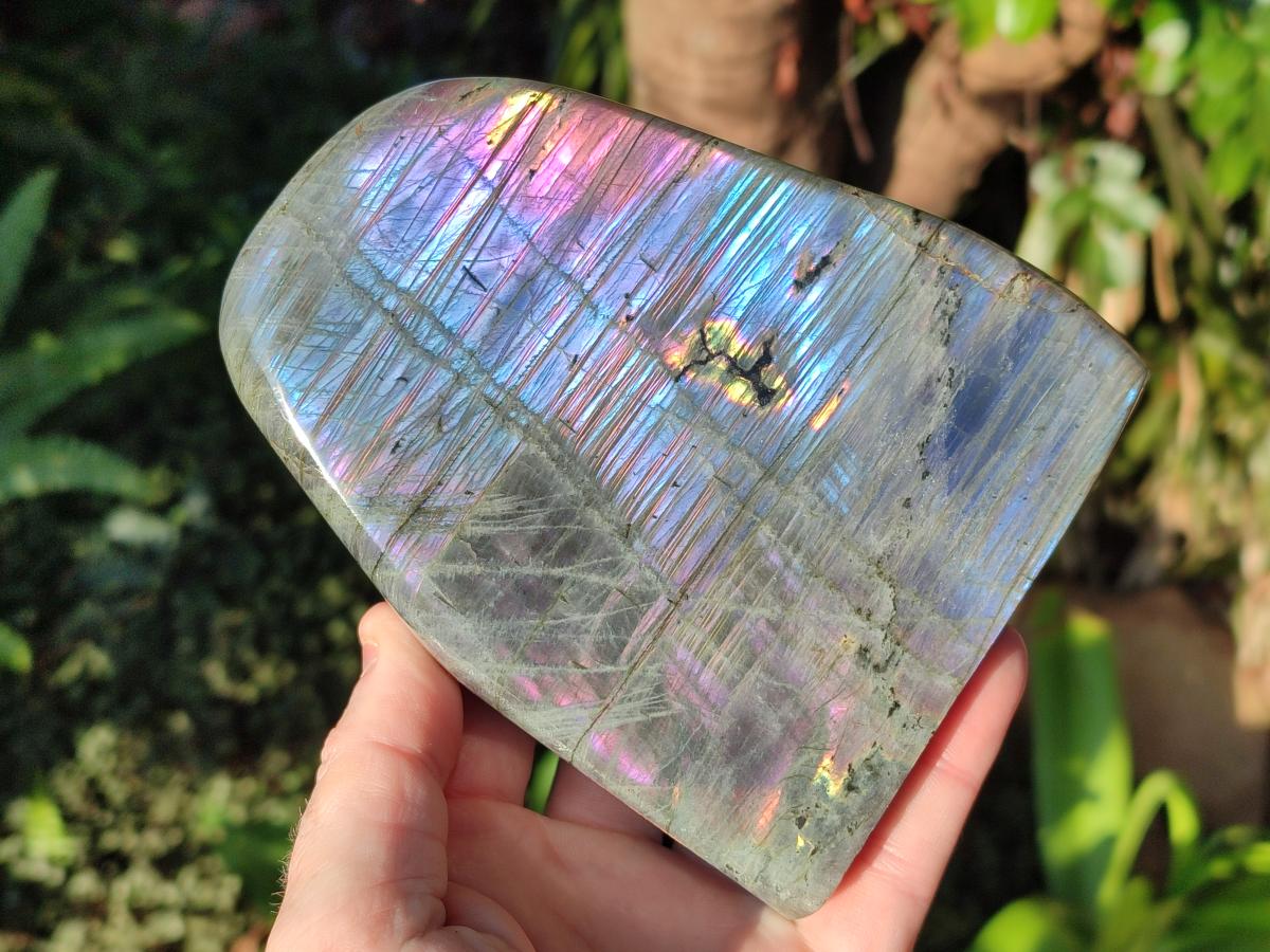 Polished Rare Purple Sunset Flash Labradorite Standing Display Pieces x 2 From Madagascar - Toprock Gemstones and Minerals 