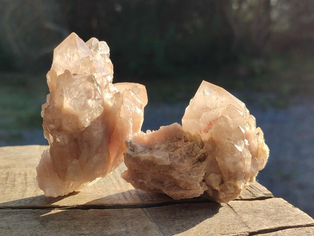 Natural Cascading White Phantom Smokey Luena Quartz Crystals and Clusters x 12 From Luena, Congo