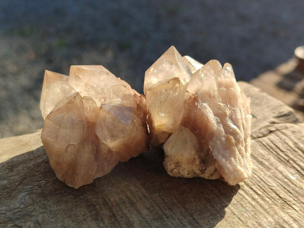 Natural Cascading White Phantom Smokey Luena Quartz Crystals and Clusters x 12 From Luena, Congo