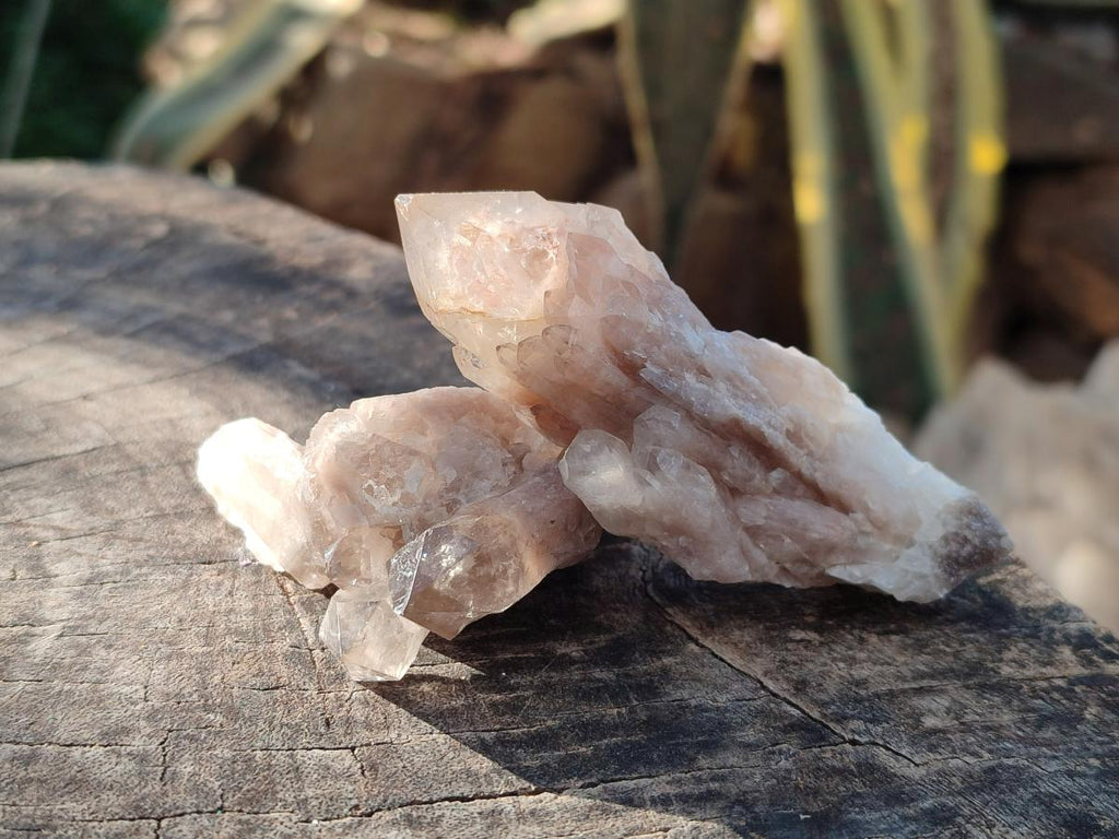 Natural Cascading White Phantom Smokey Luena Quartz Crystals and Clusters x 12 From Luena, Congo