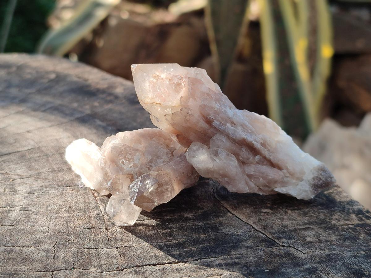 Natural Cascading White Phantom Smokey Luena Quartz Crystals and Clusters x 12 From Luena, Congo