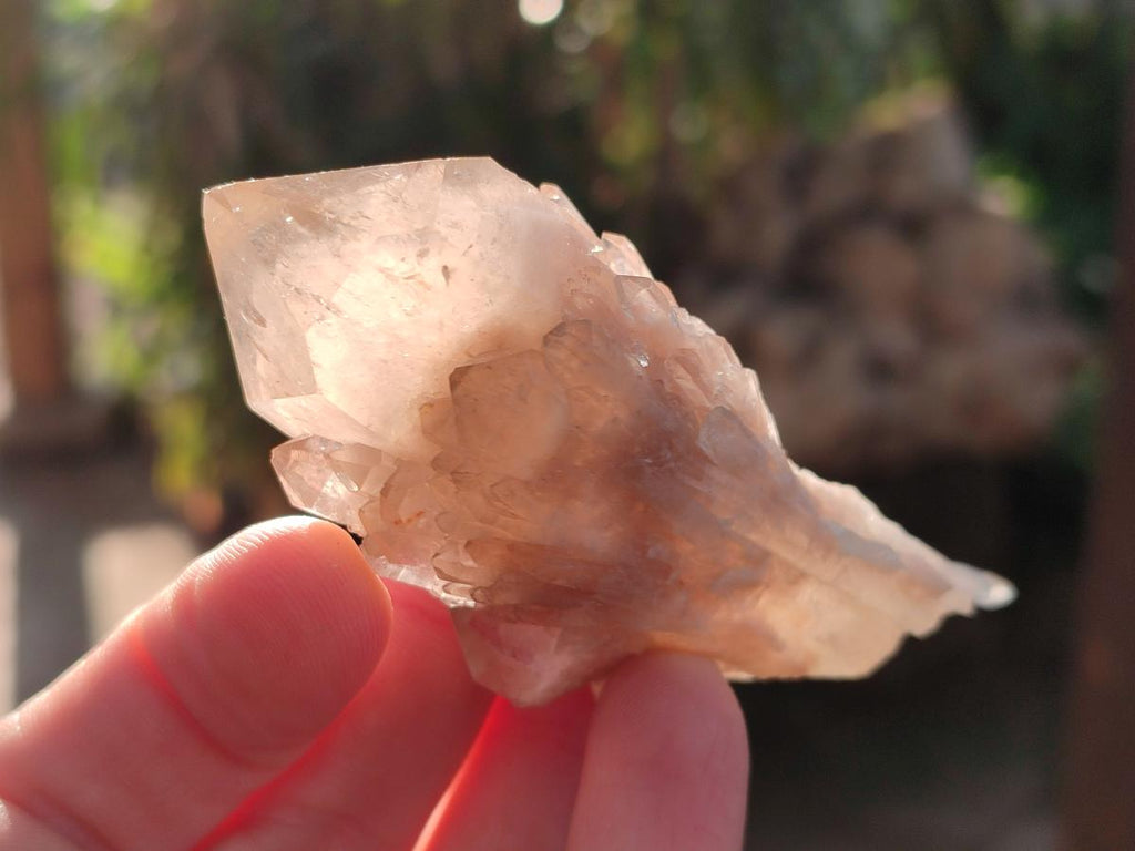 Natural Cascading White Phantom Smokey Luena Quartz Crystals and Clusters x 12 From Luena, Congo