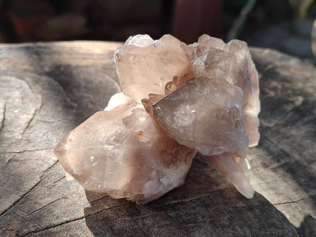 Natural Cascading White Phantom Smokey Luena Quartz Crystals and Clusters x 12 From Luena, Congo