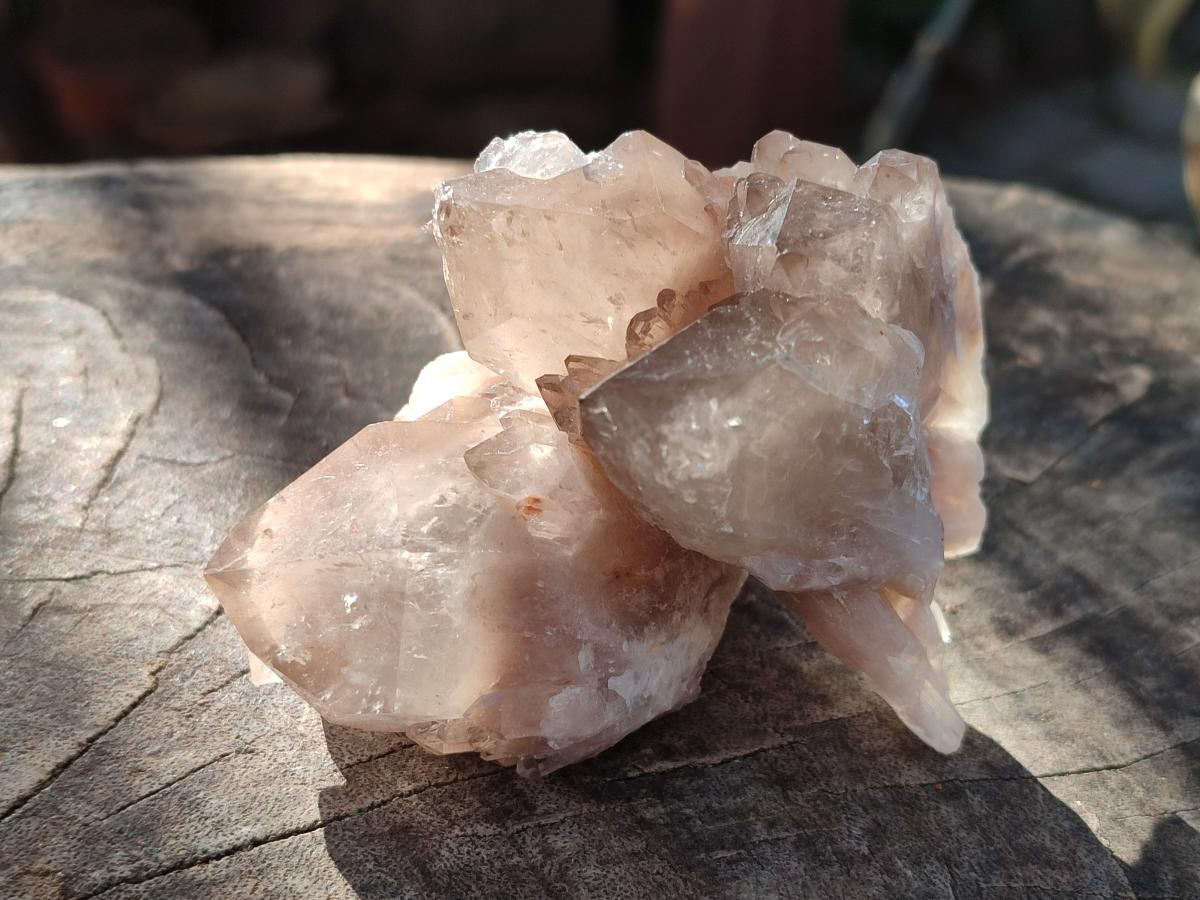Natural Cascading White Phantom Smokey Luena Quartz Crystals and Clusters x 12 From Luena, Congo