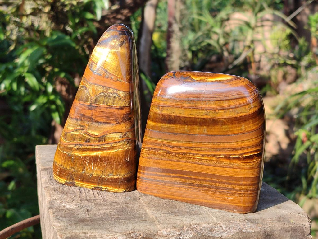 Polished Golden Tigers Eye Standing Display Pieces x 2 From Prieska, South Africa
