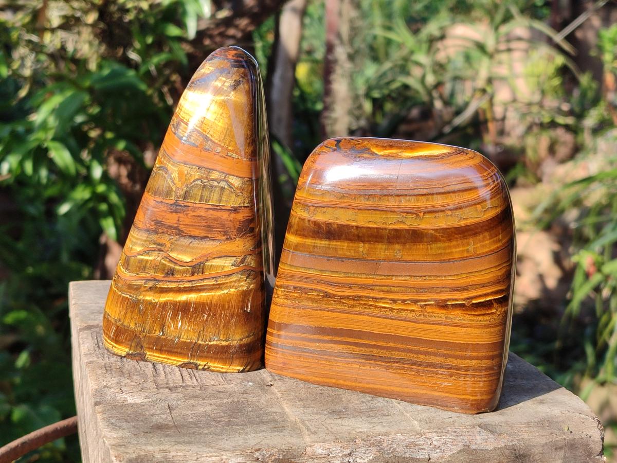 Polished Golden Tigers Eye Standing Display Pieces x 2 From Prieska, South Africa
