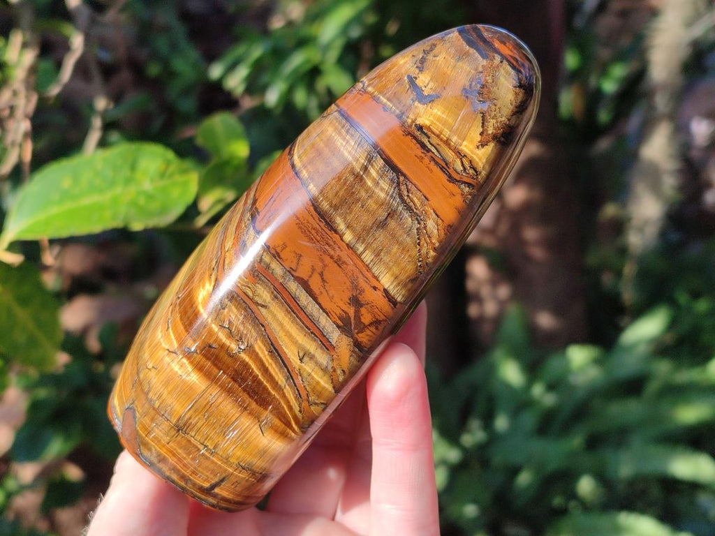 Polished Golden Tigers Eye Standing Display Pieces x 2 From Prieska, South Africa
