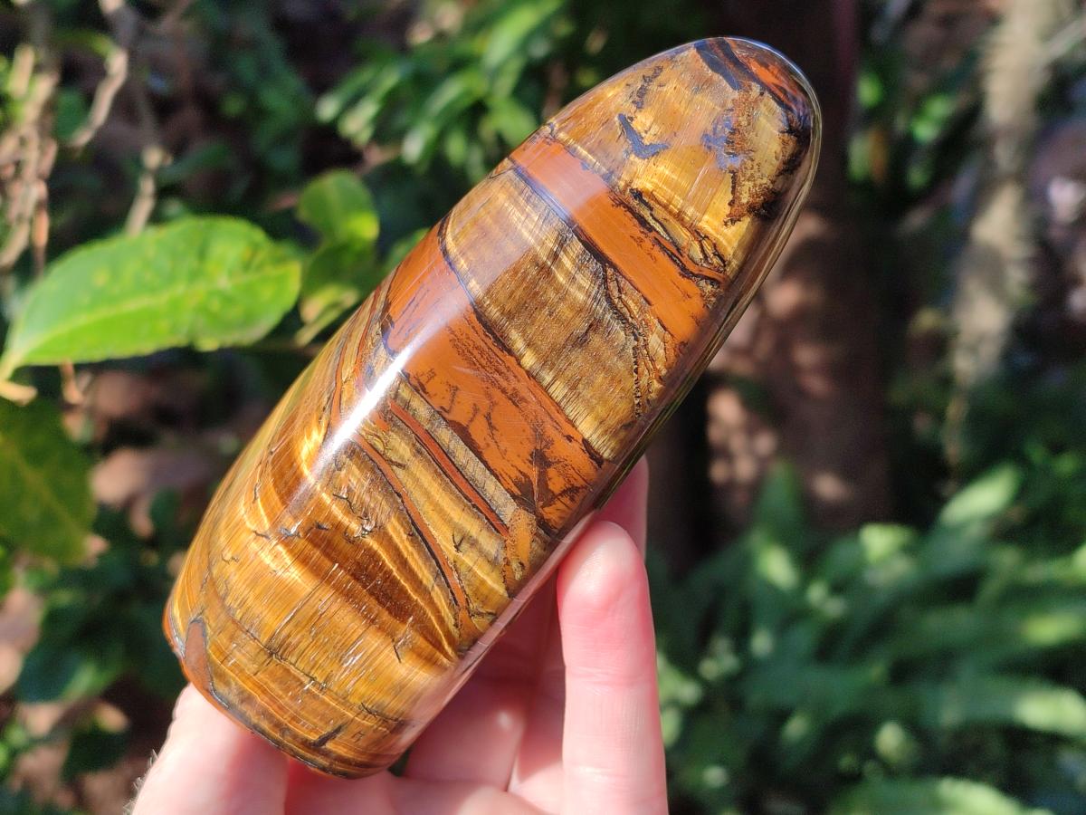 Polished Golden Tigers Eye Standing Display Pieces x 2 From Prieska, South Africa