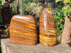 Polished Golden Tigers Eye Standing Display Pieces x 2 From Prieska, South Africa