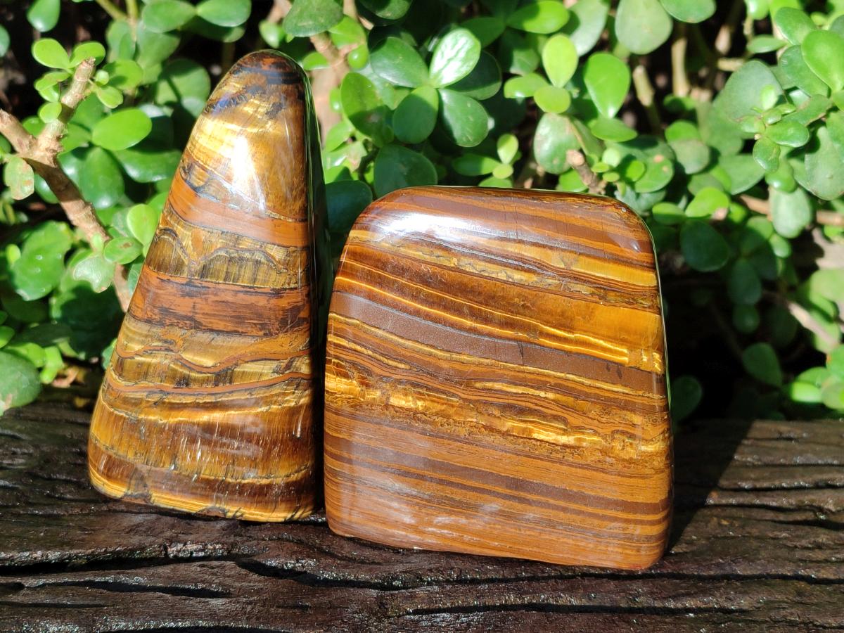 Polished Golden Tigers Eye Standing Display Pieces x 2 From Prieska, South Africa