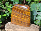 Polished Golden Tigers Eye Standing Display Pieces x 2 From Prieska, South Africa