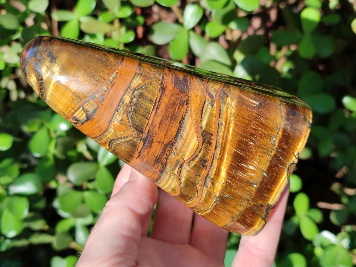 Polished Golden Tigers Eye Standing Display Pieces x 2 From Prieska, South Africa