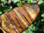 Polished Golden Tigers Eye Standing Display Pieces x 2 From Prieska, South Africa