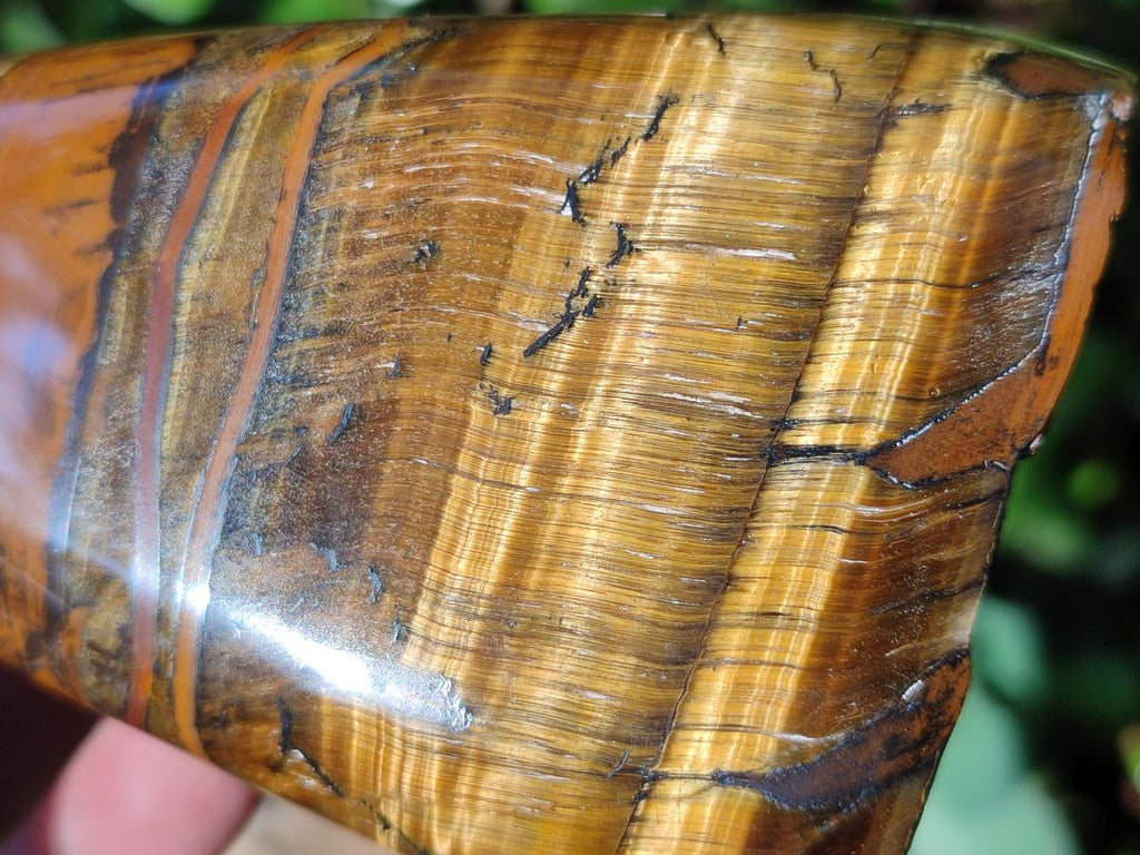 Polished Golden Tigers Eye Standing Display Pieces x 2 From Prieska, South Africa