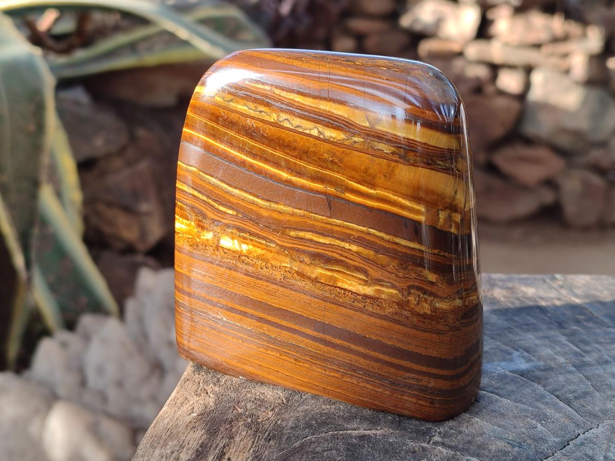 Polished Golden Tigers Eye Standing Display Pieces x 2 From Prieska, South Africa