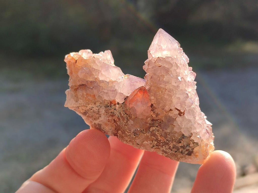 Natural Spirit Amethyst Crystals and Clusters x 12 From Boekenhouthoek, South Africa