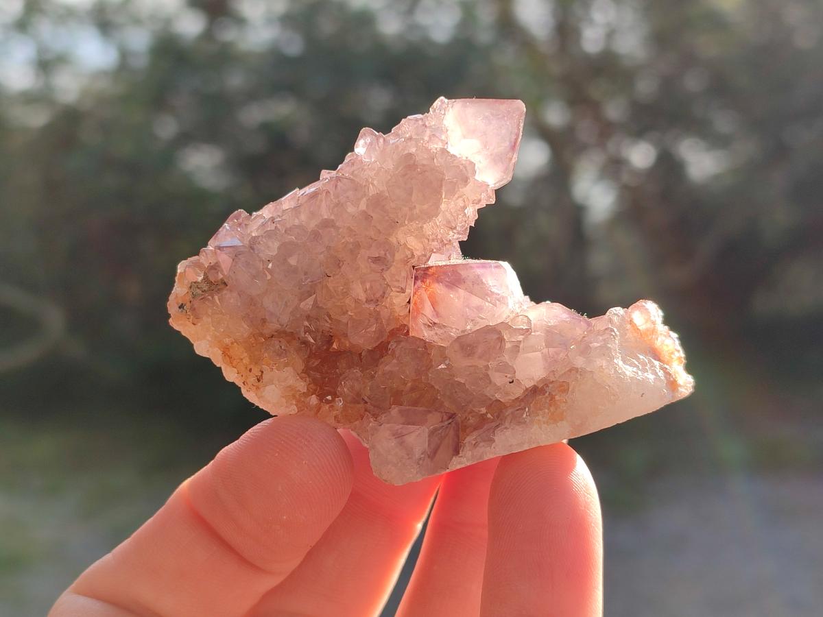 Natural Spirit Amethyst Crystals and Clusters x 12 From Boekenhouthoek, South Africa