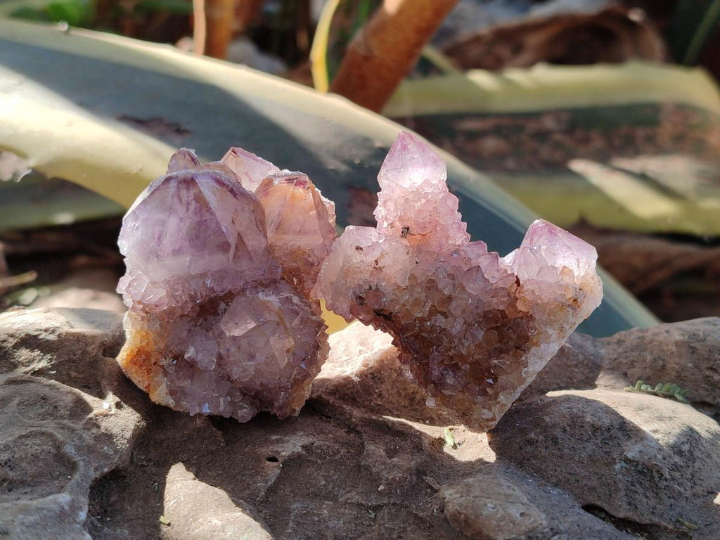 Natural Spirit Amethyst Crystals and Clusters x 12 From Boekenhouthoek, South Africa