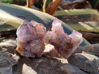 Natural Spirit Amethyst Crystals and Clusters x 12 From Boekenhouthoek, South Africa