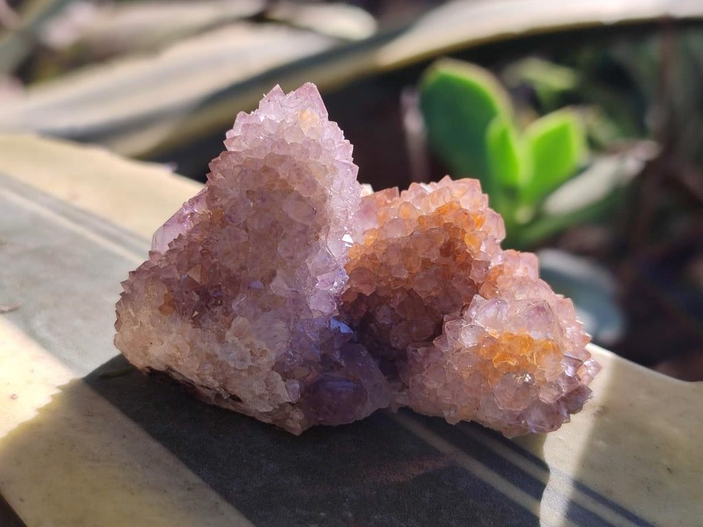 Natural Spirit Amethyst Crystals and Clusters x 12 From Boekenhouthoek, South Africa