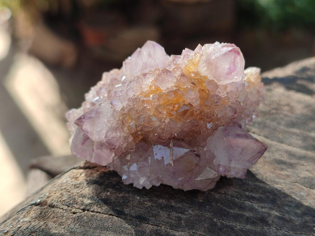 Natural Spirit Amethyst Crystals and Clusters x 12 From Boekenhouthoek, South Africa