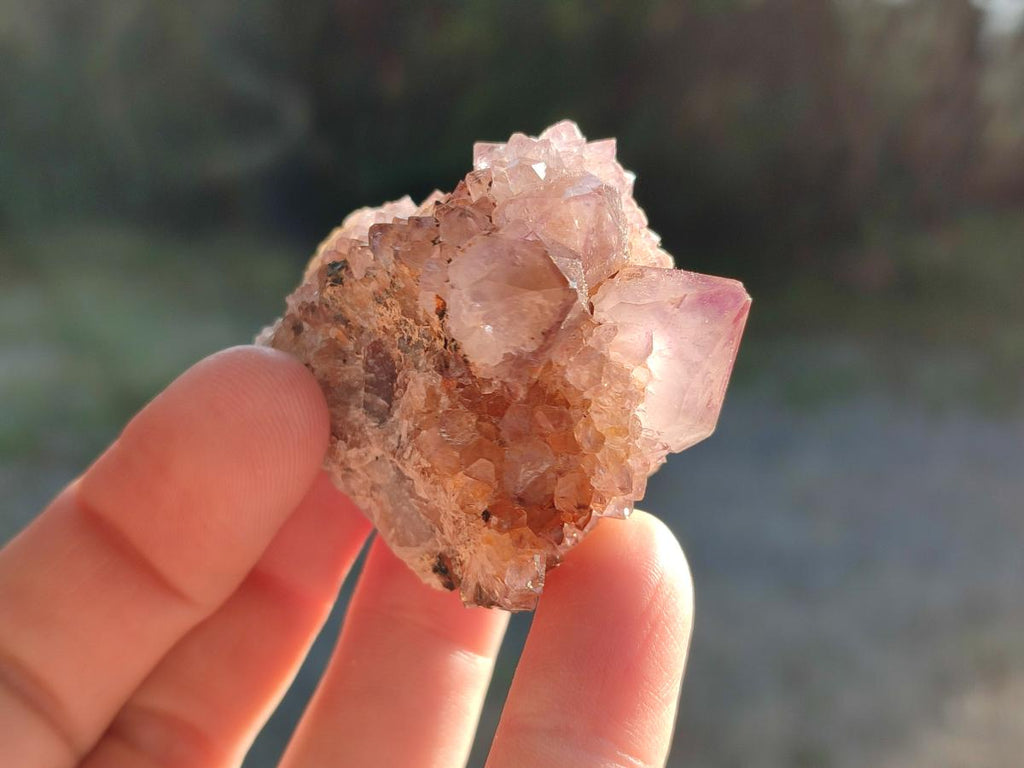 Natural Spirit Amethyst Crystals and Clusters x 12 From Boekenhouthoek, South Africa