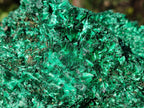 Natural Cabinet Silky Malachite Specimen x 1 From Kasompe, Congo - Toprock Gemstones and Minerals 