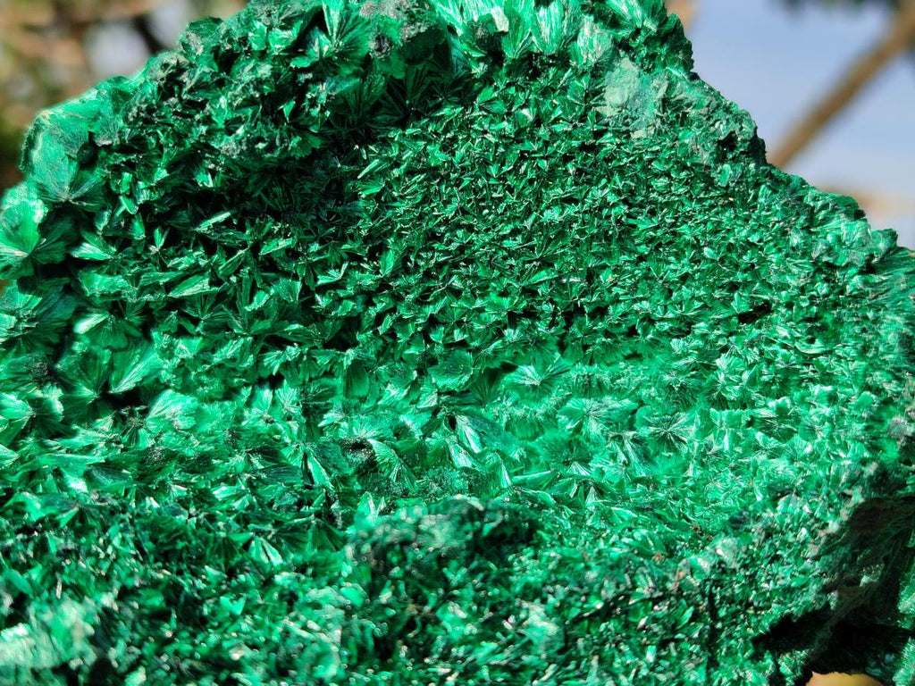 Natural Cabinet Silky Malachite Specimen x 1 From Kasompe, Congo - Toprock Gemstones and Minerals 