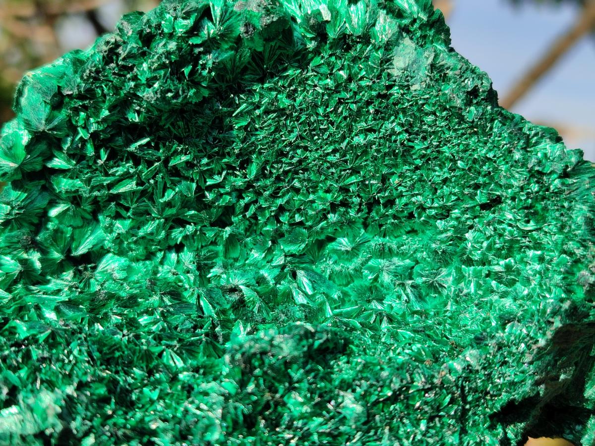 Natural Cabinet Silky Malachite Specimen x 1 From Kasompe, Congo - Toprock Gemstones and Minerals 