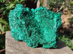 Natural Cabinet Silky Malachite Specimen x 1 From Kasompe, Congo - Toprock Gemstones and Minerals 